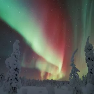 Northern Lights