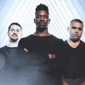 Animals as Leaders
