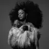 Фотография артиста Azealia Banks