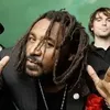 Фотография артиста Skindred