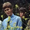 Фотография артиста The Grass Roots