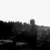 Фотография артиста Forest of Shadows