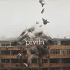 Фотография артиста prvrln