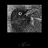 Фотография артиста Aves