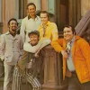 Фотография артиста The Irish Rovers