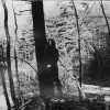 Фотография артиста December Wolves