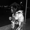 Фотография артиста Denzel Curry