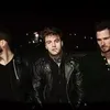 Фотография артиста Highly Suspect
