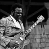 Фотография артиста Freddie King
