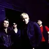 Фотография артиста My Darkest Days