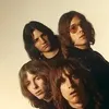 Фотография артиста The Stooges