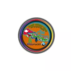 24 Nepali Online Radio