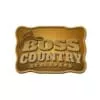 Boss Country Radio - listen radio online