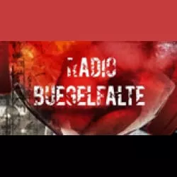Radio Buegelfalte