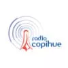 Radio Copihue - Escucha la radio en línea