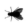 FlyFlew - Radio online hören