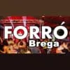 Forro Brega - ouça o rádio online