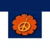 Groovy Reflections Radio - listen radio online