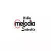 Melodia - ouça o rádio online