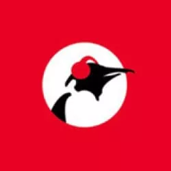 Pinguin Radio