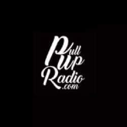 PullUpRadio