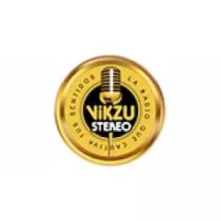 Vikzu Stereo