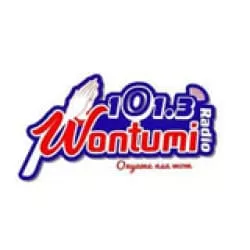 Wontumi Radio