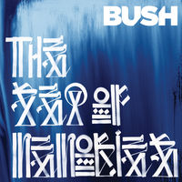 Bush - letting the cables sleep