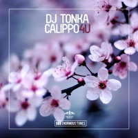 DJ Tonka - don't be afraid (straight disco mix)