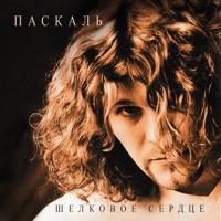 Паскаль - боже как долго (рок версия)