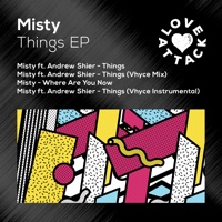 Misty - она тебя целует (ayur tsyrenov remix)