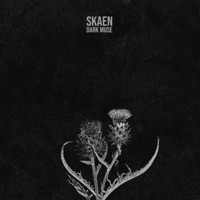 Skaen - palace