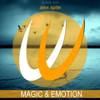 Alex Spite - soul sings