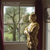 The Pineapple Thief - driving like maniacs