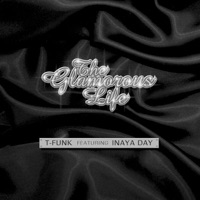 Inaya Day - hold your head up high (soul avengerz mix)