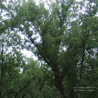 Julianna Barwick - the magic place