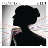 Feist - my moon my man (boys noize classic mix)