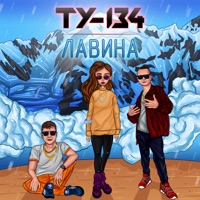 Ту-134 - прохожий (2018)