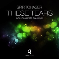 Spiritchaser - edge of the world (est8 extended mix)