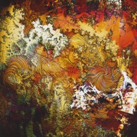 Djam Karet - consider figure three
