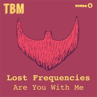 Lost Frequencies - back to you