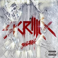Kill the Noise - kill the noise (dillon francis remix)