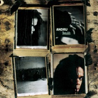 Andru Donalds - without you