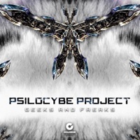 Psilocybe Project - fear & desire