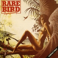 Rare Bird - who is the hero