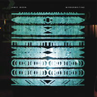 Jamie Woon - shoulda (melokind bootleg remix)