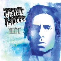 Jamie Lidell - what a shame (rl grime rmx)