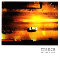 Cranes - dada 331