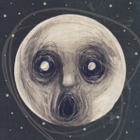 Steven Wilson - song of i (feat. sophie hunger)