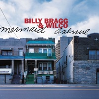 Billy Bragg - upfield